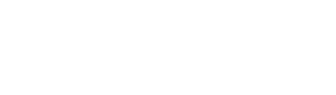 Fluke