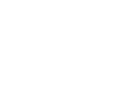 Spinner